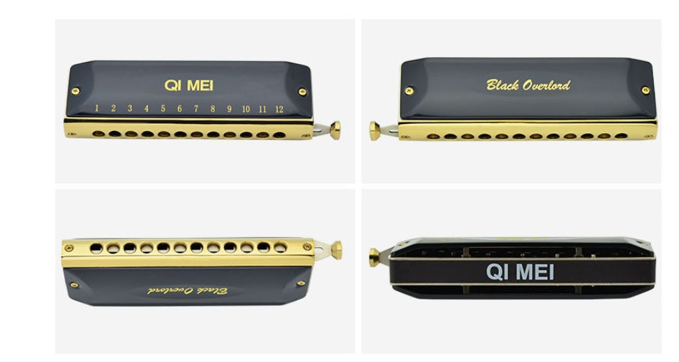 Advanced Chromatic Harmonica