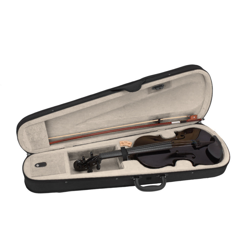 Black Acoustic Violin